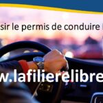 Réussir en 20 heures par la filière libre ! E-book