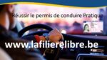 Réussir en 20 heures par la filière libre ! E-book